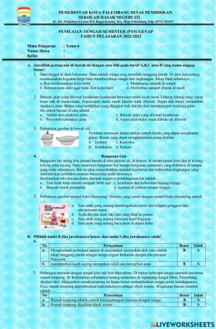 Pts kelas 5 tema 6 andra dewi