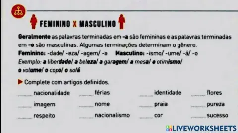 Feminino- masculino e artigos definidos