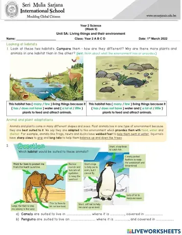 Unit 5A: Living things in their environment