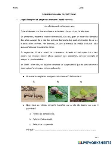 Funcionament d'un ecosistema