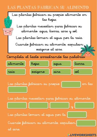 Nutrición de las plantas