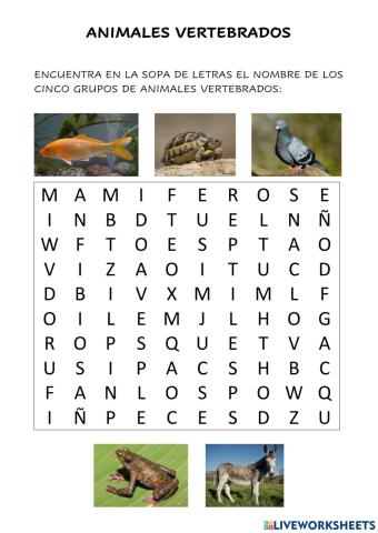 Animales vertebrados 4