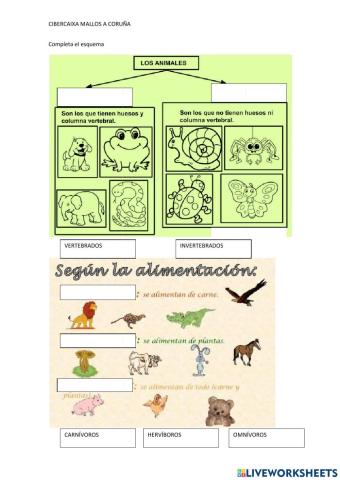 Clasificación de los animales