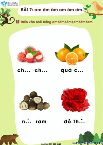 Bài 7 am amam om ôm ơm