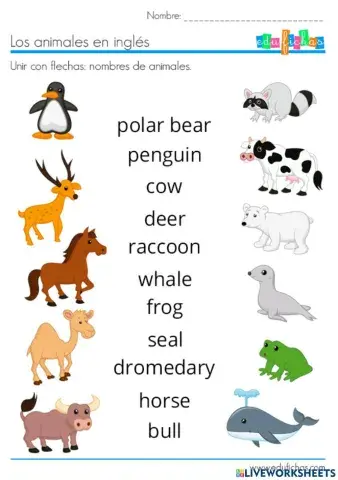 Ejercicio de animales