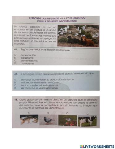 Prueba saber ciencias naturales grado tercero