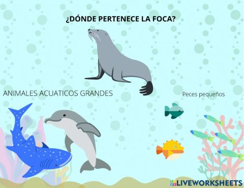 Clasificación de tamaño