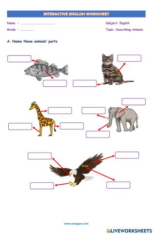 LKPD Interaktif Bahasa Inggris Tentang Describing Animals