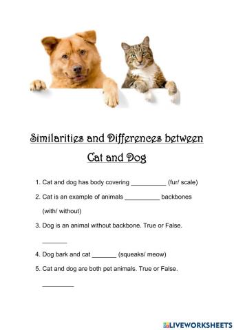 Similarities and Differences between cat and dog