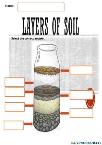 Layers of soil