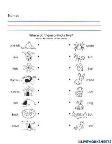 Homes of the animals