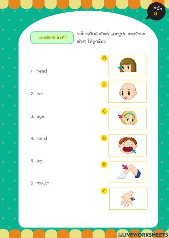 เล่มที่ 1 Parts of body