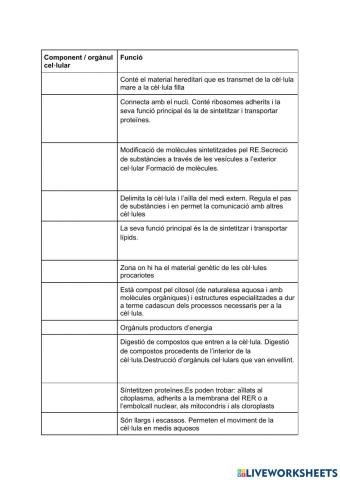 Òrganuls i components de les cèl·lules