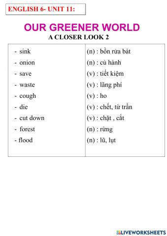 Wenglish 6- unit 11- a closer look 2