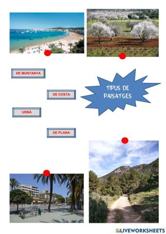 Tipus de paisatges