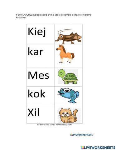 Los animales idioma maya