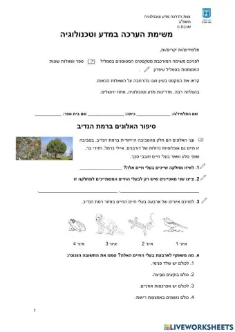 משימת הערכה מחוזית לכיתה ה '- זיכום מחצית - אלוני הנדיב