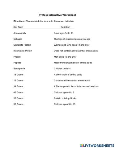 Protein Interactive Worksheet