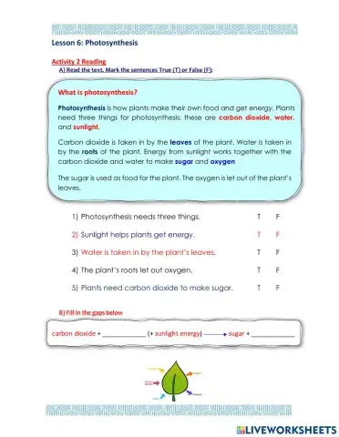 Access 8 - T2 - U6 - L6 - Act 2