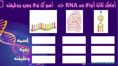 انواع rna