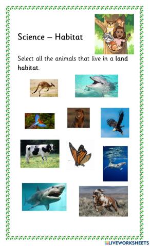 Land Habitat
