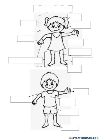 Clasificación dos seres vivos e partes