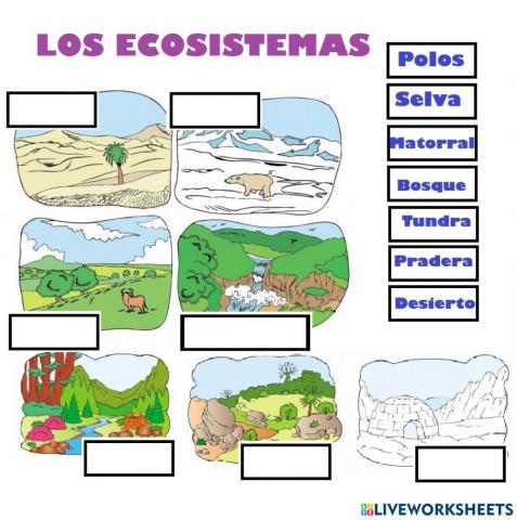 Ecosistemas