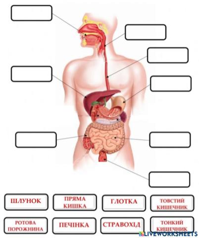 Система травлення