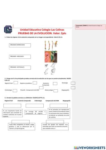 Pruebas de la evolución