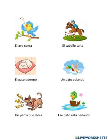 Actividades de los animales domésticos