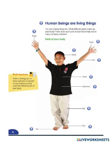 Humans body parts, sense organs and measuring instruments