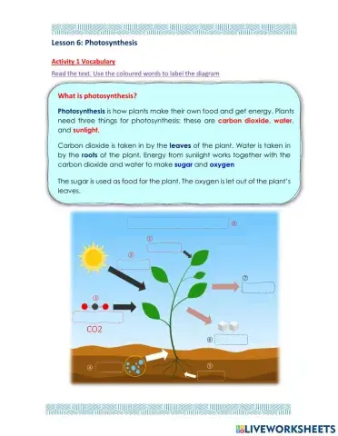 Access 8 - T2 - U6 - L6 - Act 1