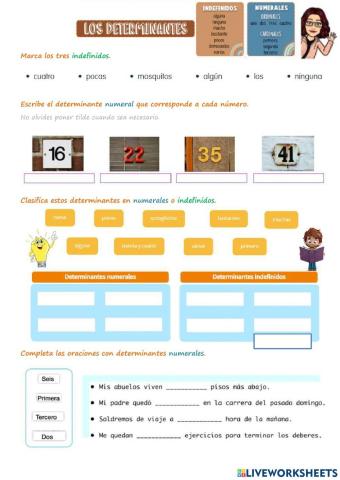 Determinantes numerales e indefinidos