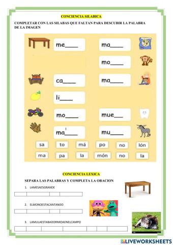 Conciencias linguisticas