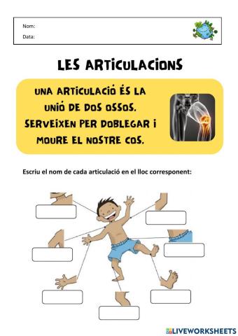Articulacions