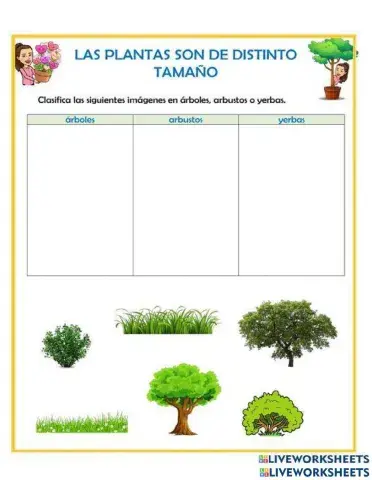Clasificamos arboles, arbustos y yerbas