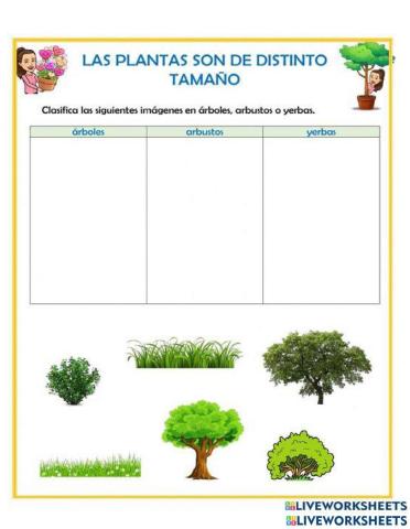 Clasificamos arboles, arbustos y yerbas