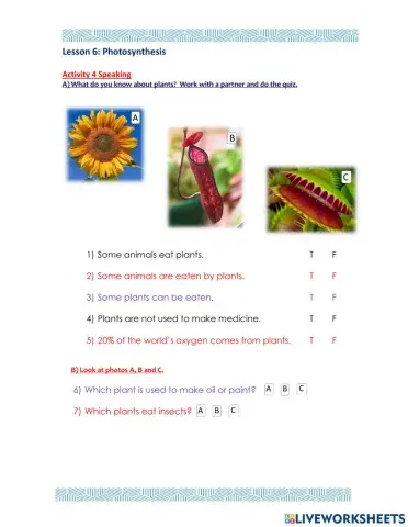 Access 8 - T2 - U6 - L6 - Act 4