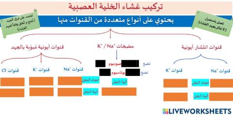 انتقال السيال العصبي 1