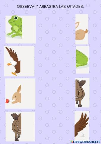 Cuento El sapito aventurero