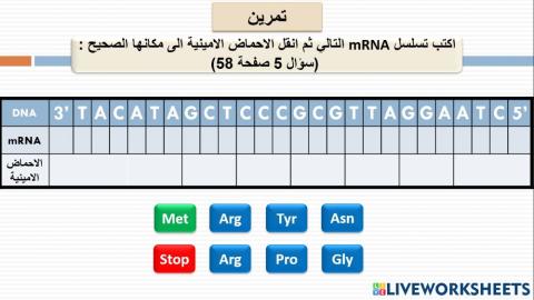 نسخ وترجمة dna