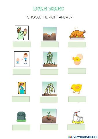 Characteristics of living things