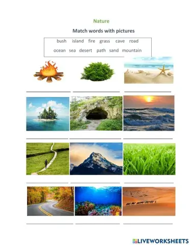 New vocabulary - Nature