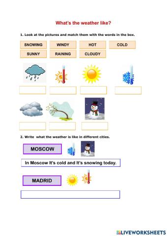 What’s the weather like?