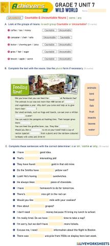 Grade 7 English UNIT 7 Countable - Uncountable Nouns - some - any