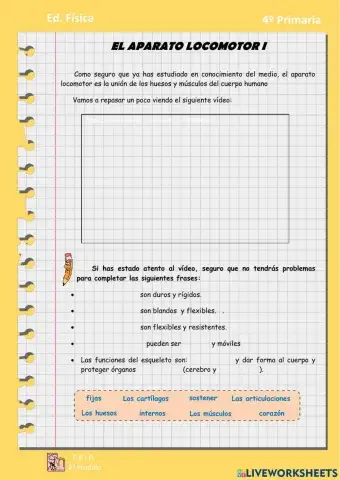 El Aparato locomotor 1