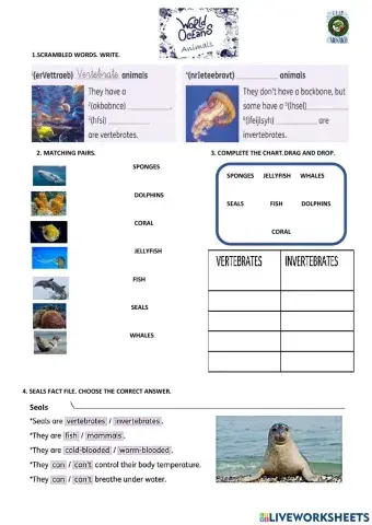 Sea animals vocabulary