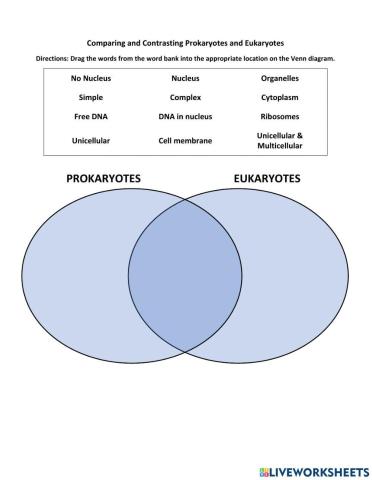 Comparing Prokaryotes and Eukaryotes