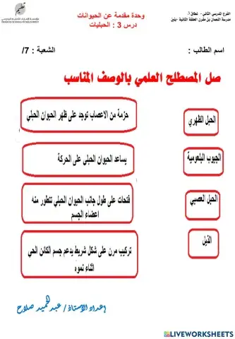 الصفات المشتركة بين الحبليات الفقارية واللافقارية
