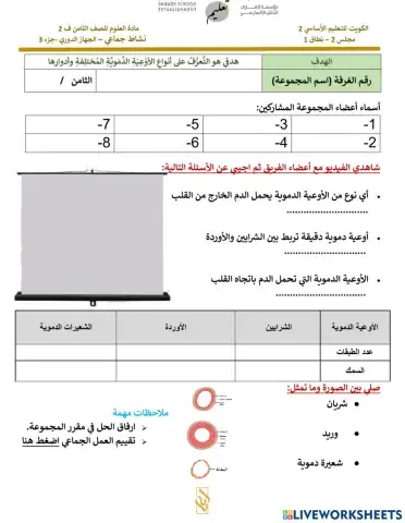 اسمع ثم اجيب عن الاوعية الدموية